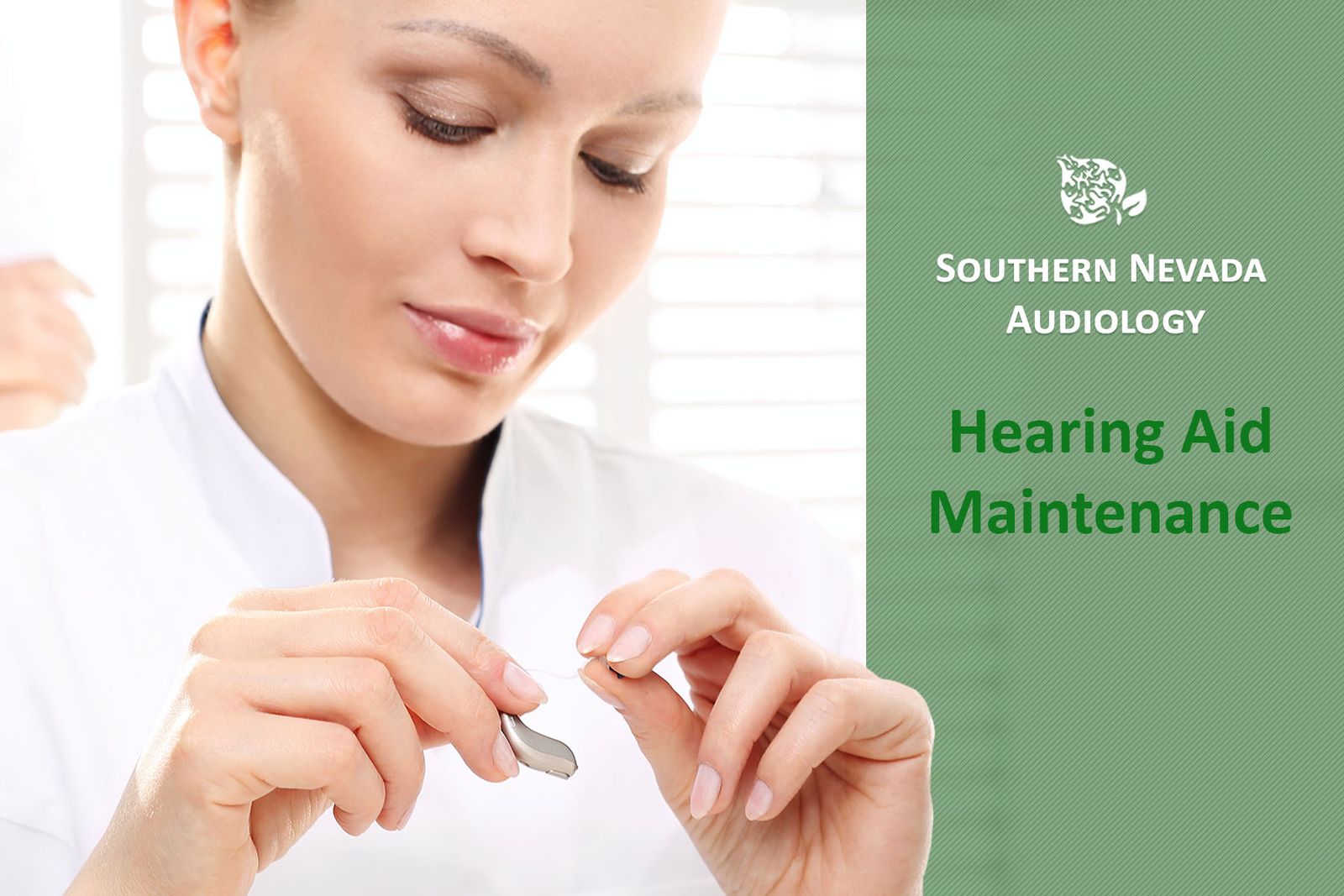 Hearing Aid Maintenance